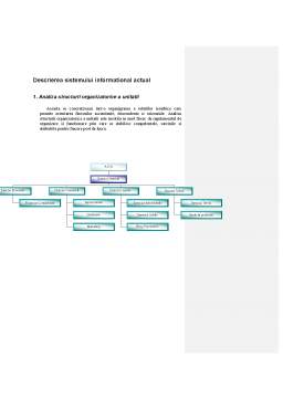 Proiect - Analiza sistemului informațional pentru departamentul de contabilitate a unei societăți comerciale