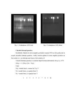 Referat - Markeri Moleculari ADN și Utilitatea Acestora