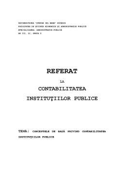 Referat - Conceptele de Bază privind Contabilitatea Instituțiilor Publice