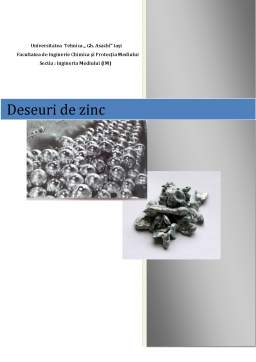 Referat - Deșeuri de zinc