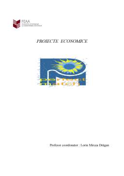 Proiect - Proiecte Economice