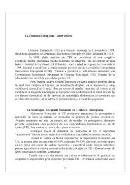 Proiect - Introducerea euro în România - premise, procese, restricții