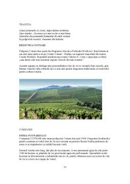 Proiect - Piața vinurilor din România