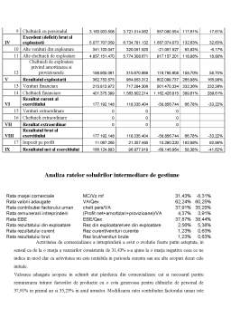 Referat - Analiza economico-financiară - SNCFR Marfă