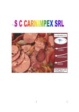 Proiect - Proiecte Economice - SC Carnimpex SRL
