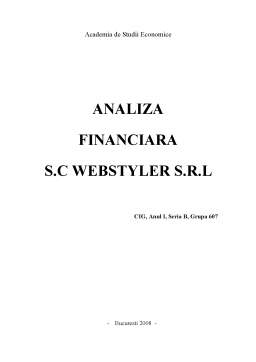 Proiect - Analiza financiară a SC Webstyler SRL
