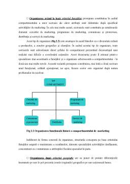 Proiect - Organizarea Marketingului Bancar