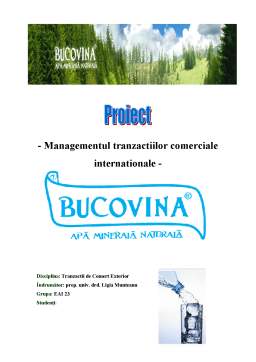 Proiect - Bucovina - internaționalizarea firmei