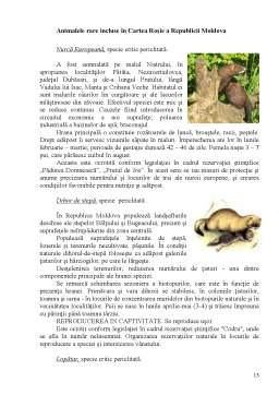 Referat - Specii de Plante și Animale Rare din Republica Moldova