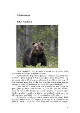 Proiect - Metode de cercetare a speciilor de urs brun și lup cenușiu din zona muntelui Tâmpa