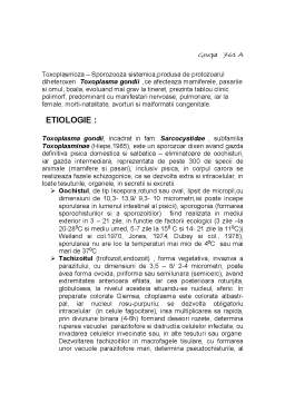 Referat - Toxoplasmoza extraintestinală la pisică
