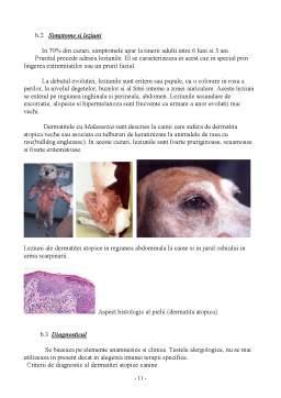 Referat - Bolile alergice ale câinilor de rasă