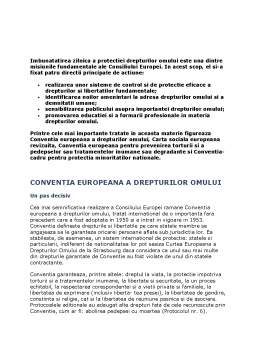 Referat - Consiliul Europei - Studiu de Caz - CEDO