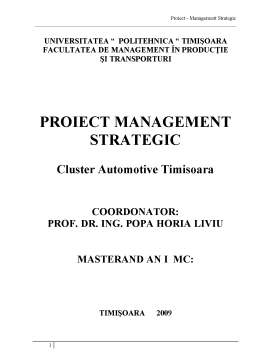 Proiect - Cluster Automotive Timișoara