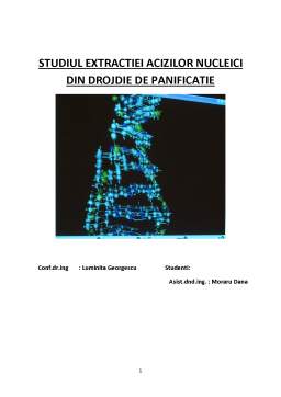 Proiect - Studiul extracției acizilor nucleici din drojdie de panificație