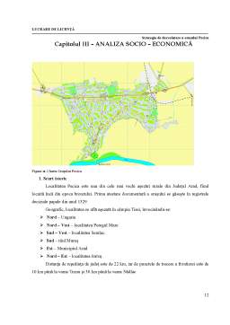 Proiect - Strategia de Dezvoltare a Orașului Pecica