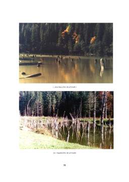 Proiect - Apa - lacuri din România - studiu de caz - Lacul Natural de Baraj Cuejdel
