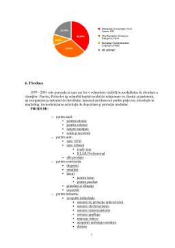 Proiect - Analiza situației companiei Policolor SA