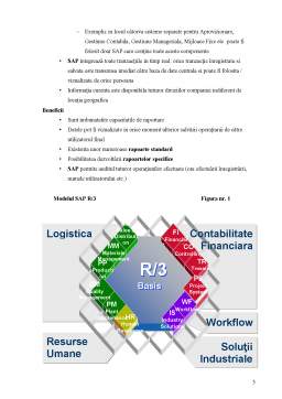 Proiect - Analiza diagnostic - diagnosticul financiar - în condițiile utilizării sistemului informatic SAP la SC Petrom SA
