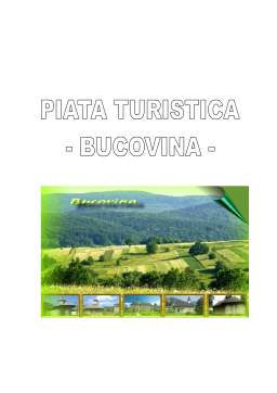 Proiect - Piața turistică - Bucovina