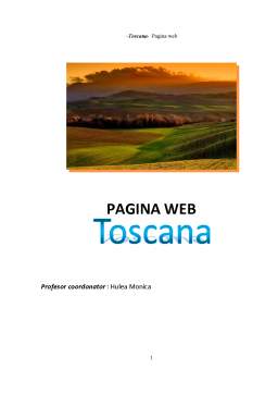 Referat - Pagină web - Toscana