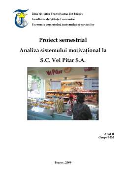 Proiect - Analiza Sistemului Motivațional la SC Vel Pitar SA