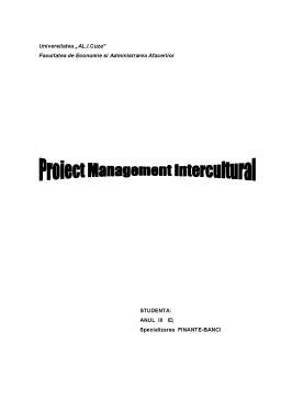 Proiect - Management Intercultural - Franta-Romania
