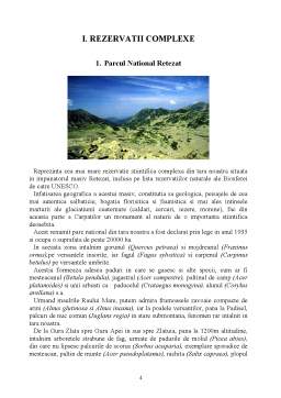 Referat - Parcurile naționale ale României
