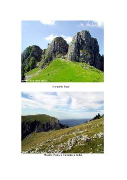 Licență - Turismul Balnear în România
