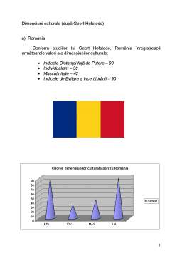 Proiect - Diagnostic Intercultural România - Cehia