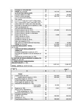 Proiect - Bilanțul contabil și contul de profit și pierdere la SC CF Muntenia SA