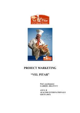Proiect - Proiect Marketing - Vel Pitar