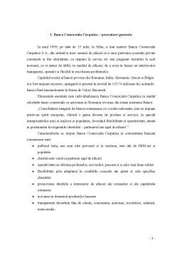 Proiect - Plan de afaceri. Banca Comercială Carpatica - Reprezentanța Corod