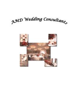 Proiect - Business Plan - Wedding Consultant