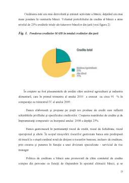 Proiect - Raport de practică Moldova-Agroindbank SA