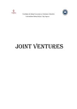 Proiect - Joint Ventures