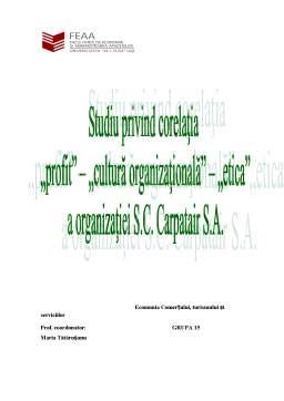 Proiect - Studiu privind corelația profit - cultură organizațională - etică a organizației SC Carpatair SA