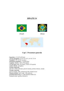 Proiect - Brazilia - Pricipalele Politici Turistice