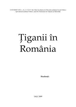 Proiect - Țiganii în România
