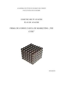 Referat - Plan de afaceri - firma de consultanță de marketing The Cube