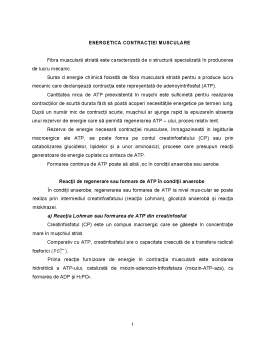 Proiect - Energetica Contracției Musculare