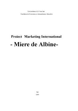 Proiect - Proiect marketing internațional - miere de albine