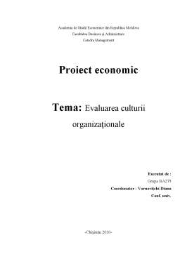 Proiect - Evaluarea Culturii Organizaționale