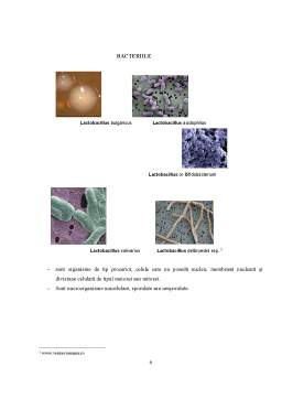 Proiect - Microbiologie Industriala - Microorganisme in Industria Farmaceutica