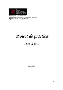 Proiect - Proiect de practică la BRD