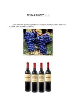 Proiect - Vinul Sangiovese