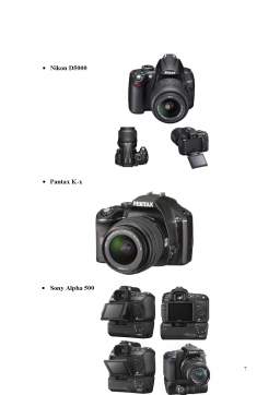Proiect - Procesul decizional de cumpărare - alegerea unui aparat de fotografiat digital, profesional