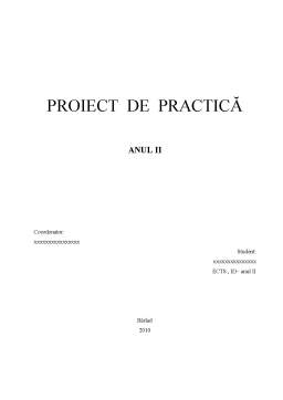 Proiect - Practică SC Talida SRL