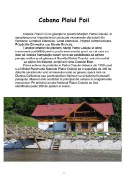 Proiect - Cabana Plaiul Foii