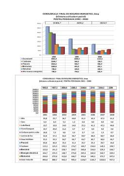 Referat - Consumul de Resurse Energetice Republica Moldova 1990-2008